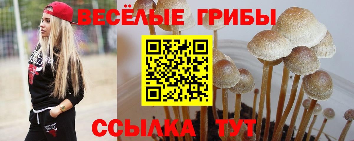 Волгоград  Псилоцибиновые грибы мухоморы  Вход с VPN 